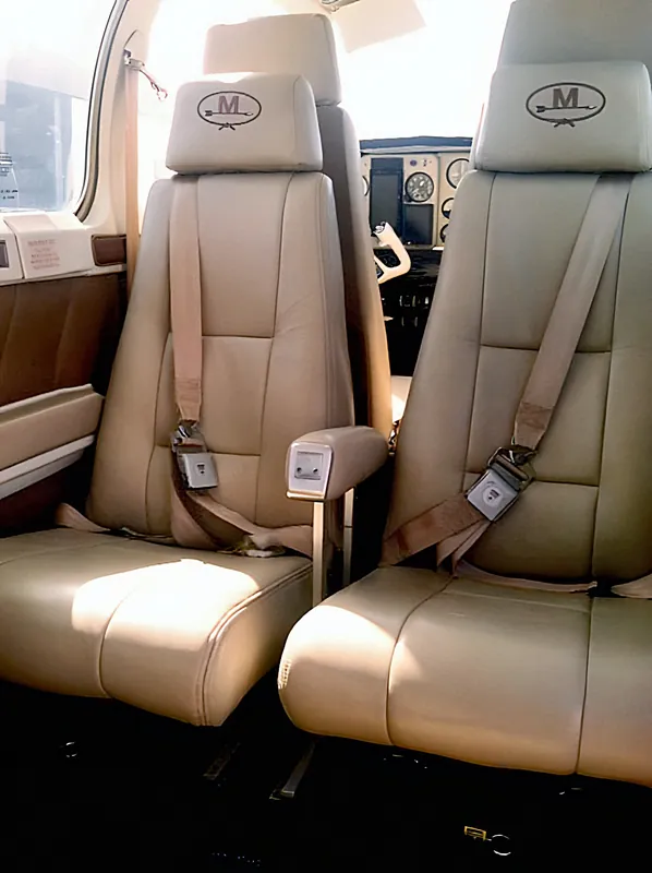 Beechcraft Bonanza: Embroidered headrests